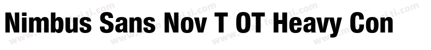 Nimbus Sans Nov T OT Heavy Con Regu字体转换